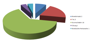 Statistik Einsätze 2013